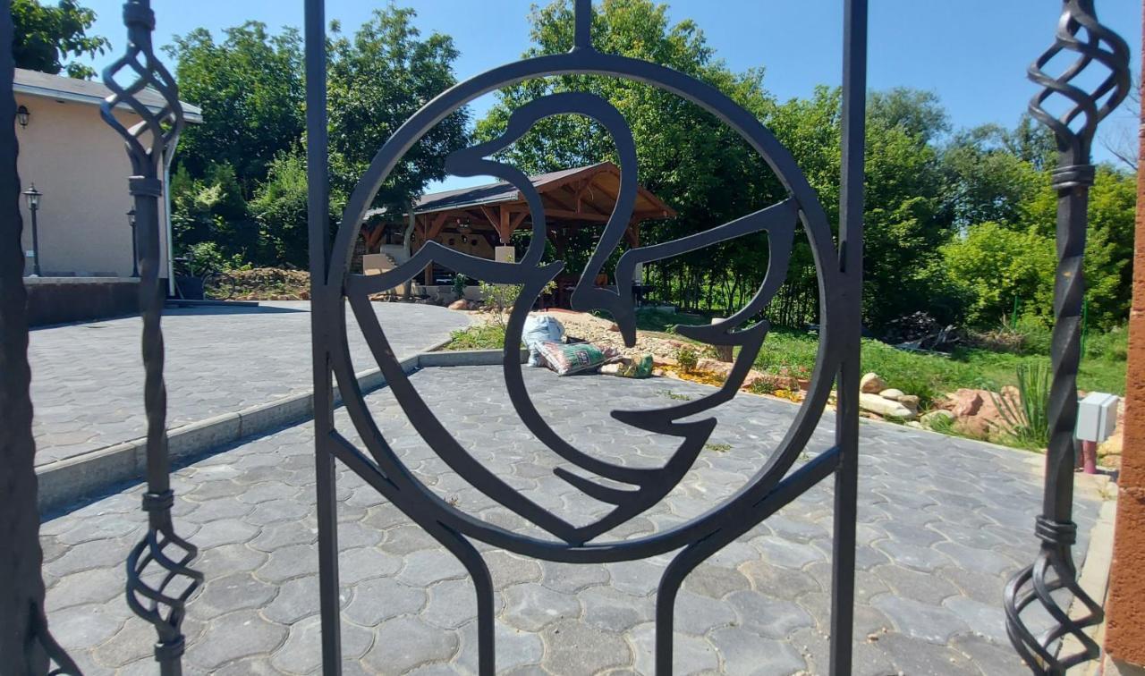 Villa Verteskacsa Vértesacsa エクステリア 写真