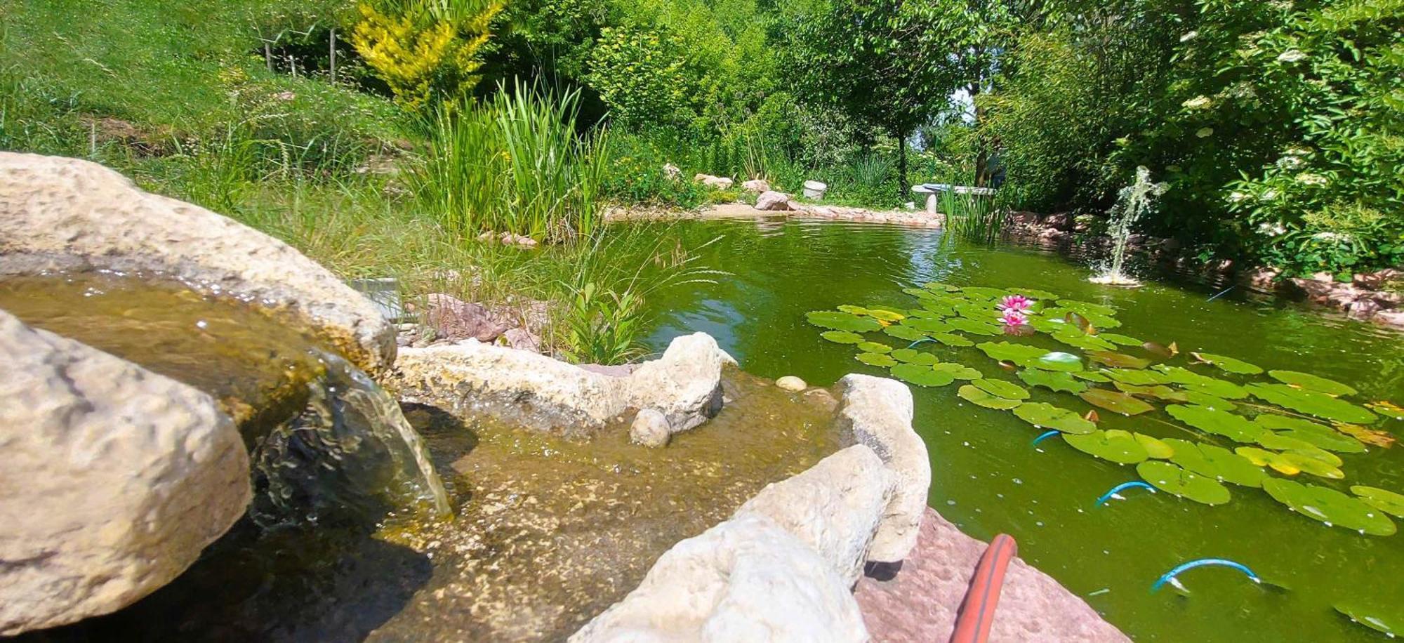 Villa Verteskacsa Vértesacsa エクステリア 写真